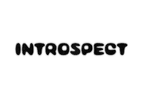 Introspect Design Studio